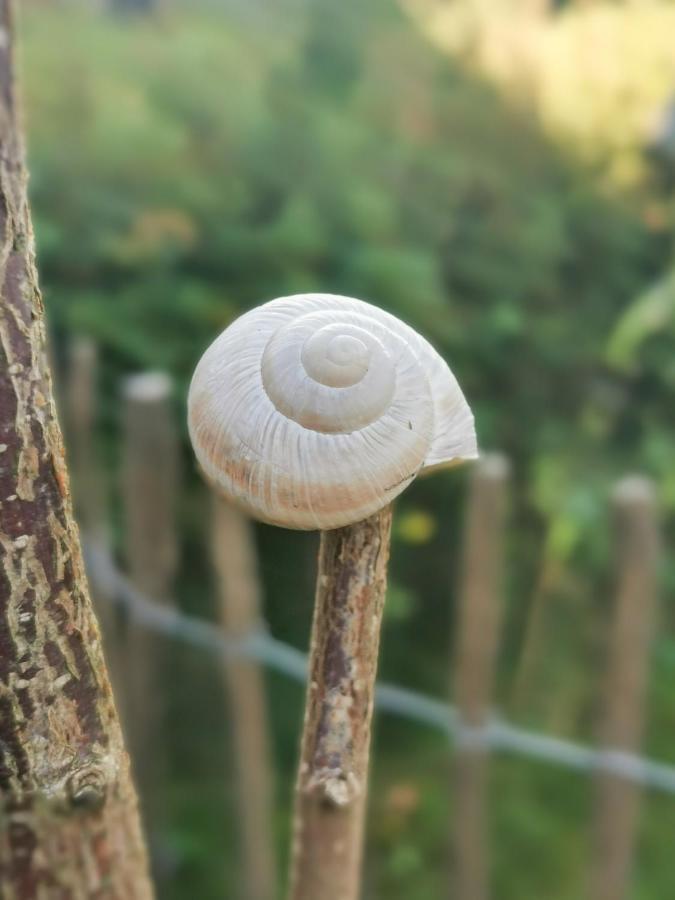 Ferienglueck An Der Nordsee Buche Deine Erdgeschoss-Ferienwohnung Mit Kamin Terrasse Und Eingezaeuntem Garten Fuer Unvergessliche Auszeiten Altfunnixsiel 外观 照片