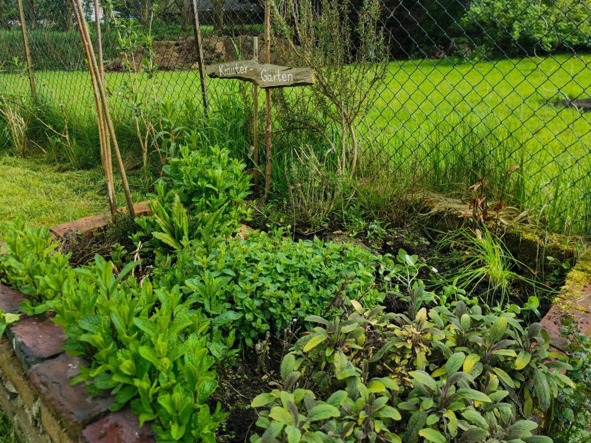 Ferienglueck An Der Nordsee Buche Deine Erdgeschoss-Ferienwohnung Mit Kamin Terrasse Und Eingezaeuntem Garten Fuer Unvergessliche Auszeiten Altfunnixsiel 外观 照片